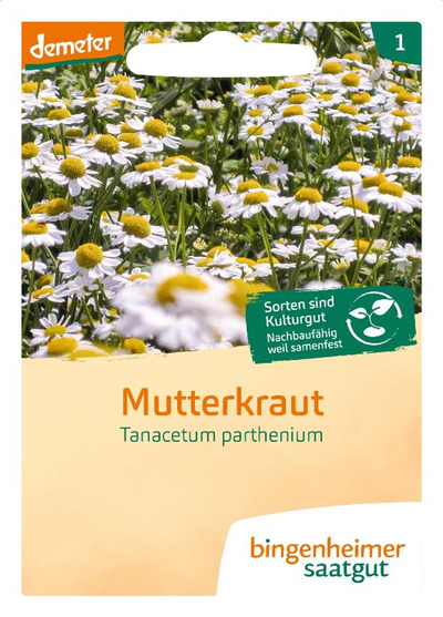 Produktfoto zu Saatgut Mutterkraut