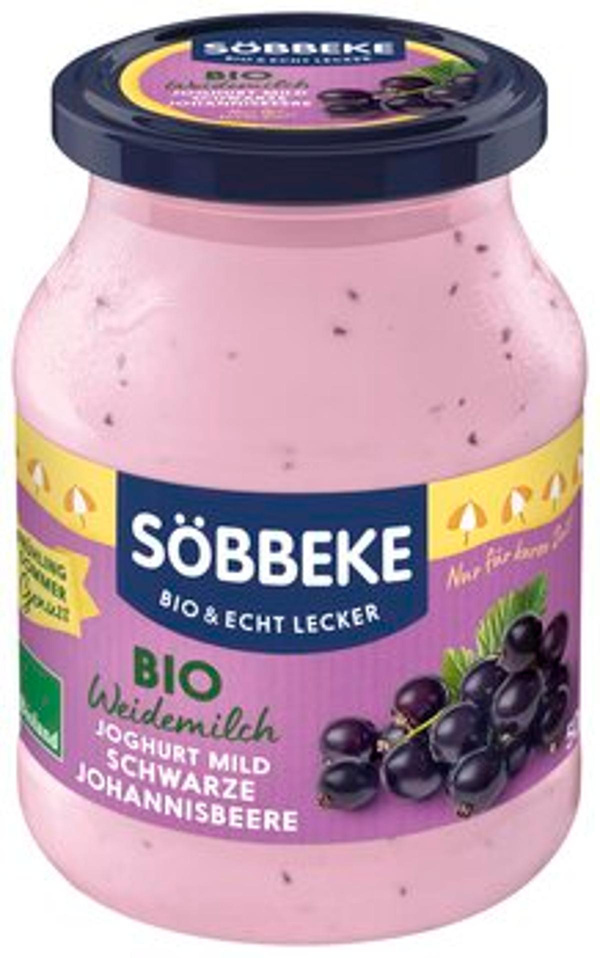 Produktfoto zu Saisonjoghurt Schwarze Johannisbeere, 3,8%