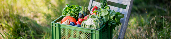 Bildausschnitt Regionalkiste auf Holzstuhl in Sommerwiese