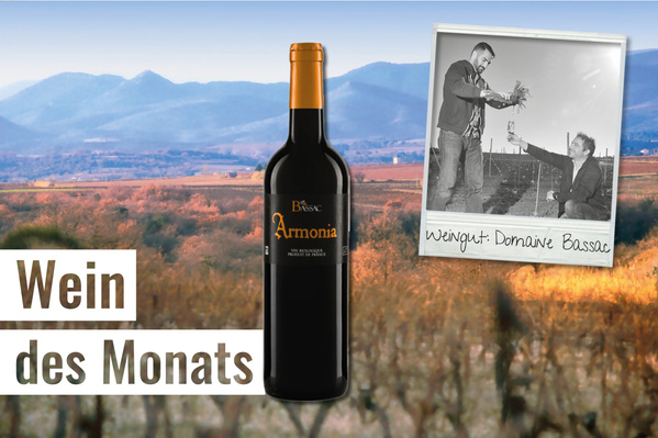 KI generiert: Flasche Rotwein „Armonia“ vor Landschaft, Text: „Wein des Monats“, Foto: „Weingut: Domaine Bassac“.