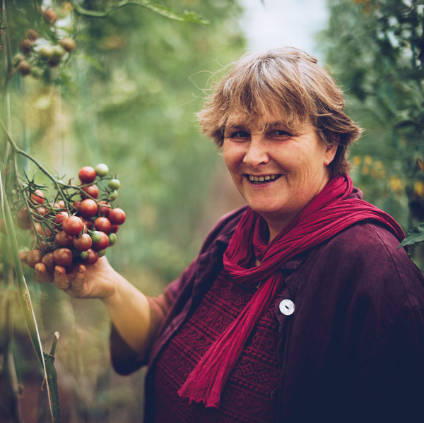 Grünland Bio Lieferant Drömlingshof