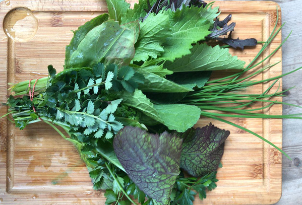 KI generiert: Ein Bund frischer Kräuter liegt auf einem Holzbrett.