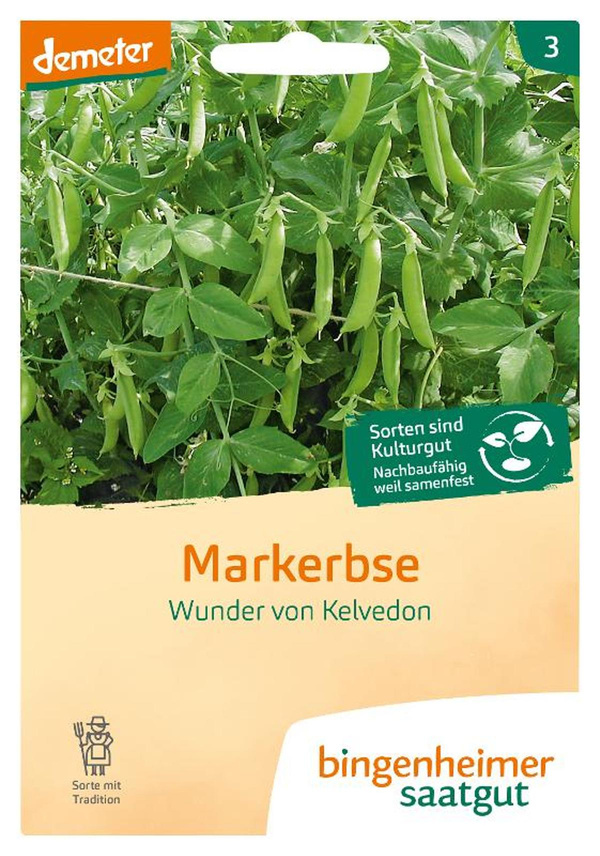 Produktfoto zu Saatgut Markerbse Wunder von Kelvedon