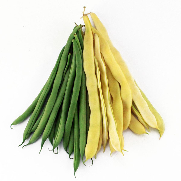 Produktfoto zu Stangenbohnen