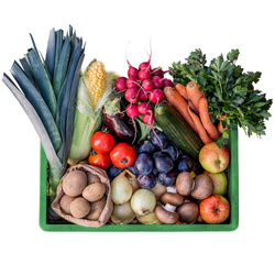 Produktfoto zu Entdecke hier unsere Ökokisten-Vielfalt