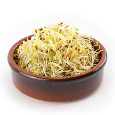 Produktfoto zu Alfalfasprossen 50g