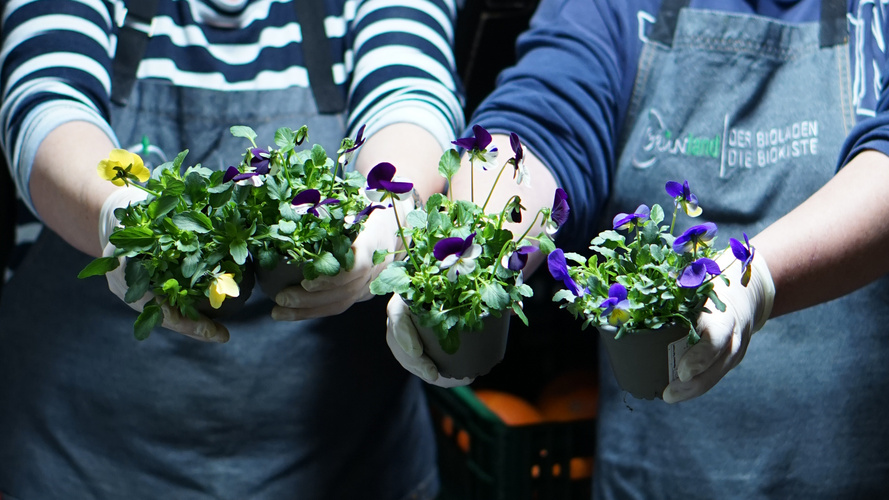 KI generiert: Zwei Personen halten blühende Pflanzen in Töpfen. Text auf Schürze: "DEN BIOLADEN DIE BIOKISTE".