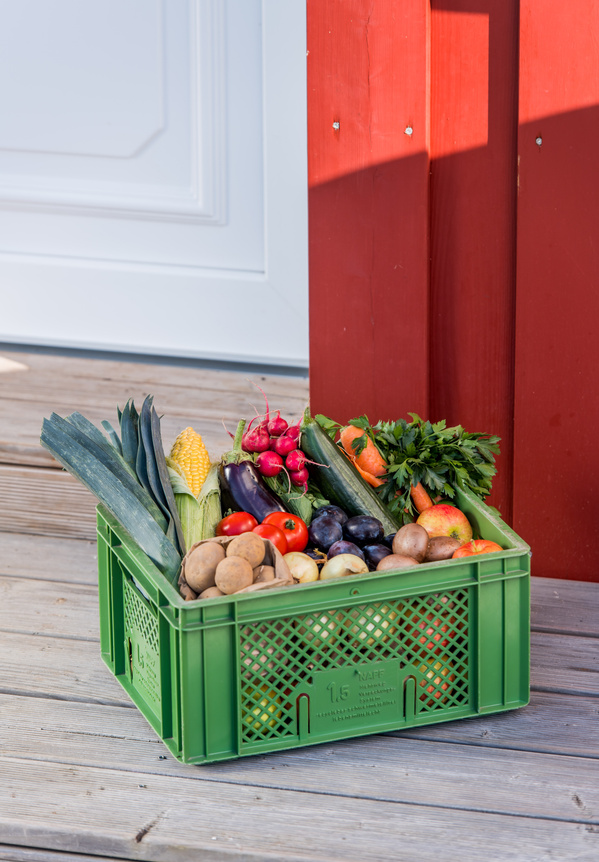 Eine Biokiste gefüllt mit regionalem Obst udn Gemüse