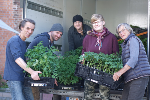 Das Bild zeigt eine Gruppe von fünf Personen, die in einem Lieferwagen stehen und Pflanzen in schwarzen Kisten halten. Sie lächeln in die Kamera und präsentieren die Setzlinge.