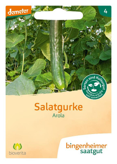 Produktfoto zu Saatgut Schlangengurke Arola