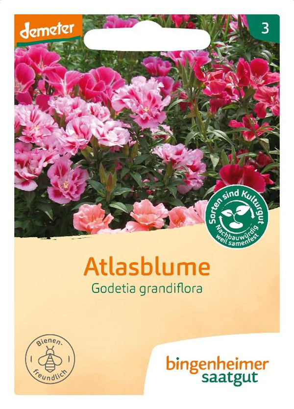 Produktfoto zu Saatgut Atlasblume