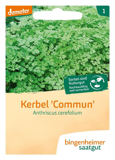 Produktfoto zu Saatgut Kerbel Commun
