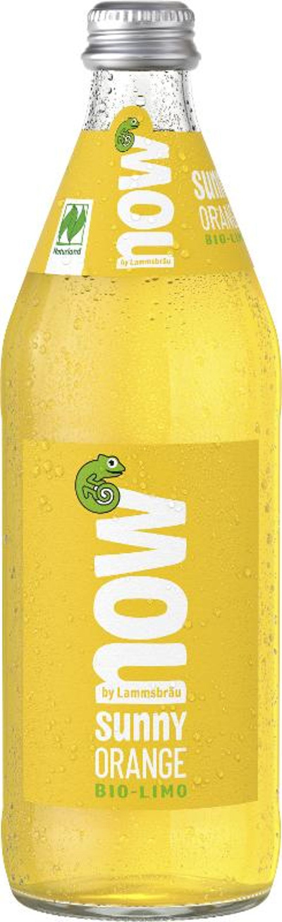 Produktfoto zu Kiste now Sunny Orange 10x 0,5l