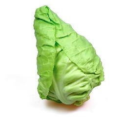 Produktfoto zu Filderkraut