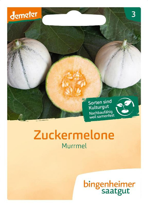 Produktfoto zu Saatgut Zuckermelone