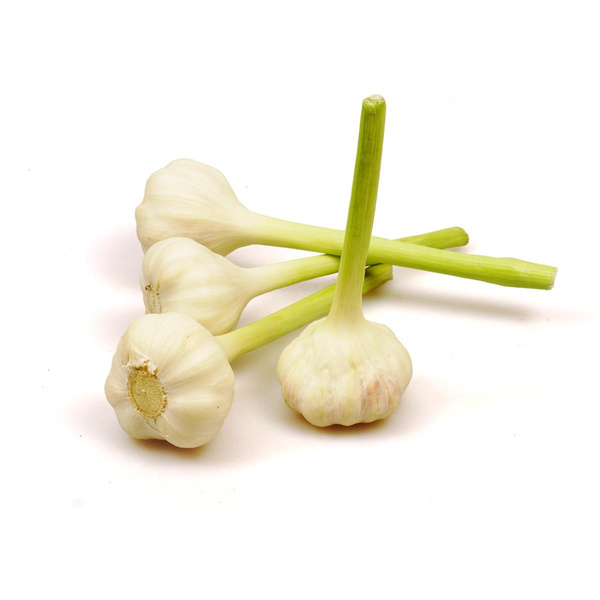 Produktfoto zu Knoblauch frisch kg