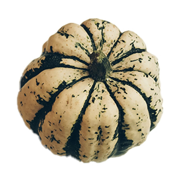 Produktfoto zu Kürbis Sweet Dumpling