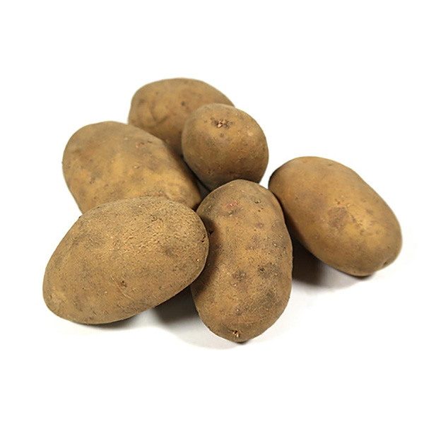 Produktfoto zu Kartoffeln Gunda mehligkochend