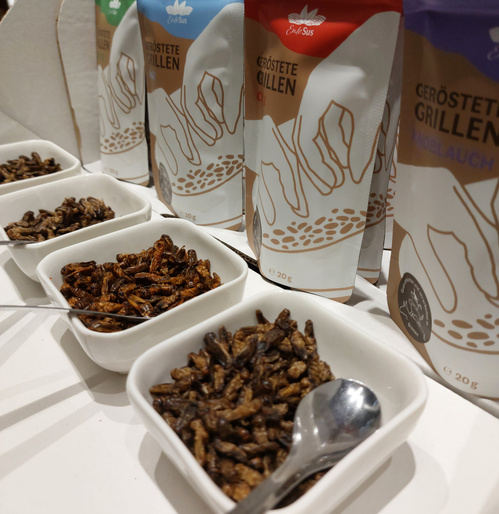 KI generiert: Schälchen mit gerösteten Grillen und Tüten im Hintergrund. Text auf Tüten: "Geröstete Grillen".