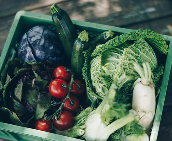 Eine grüne Kiste voller frischem Gemüse, darunter Tomaten, Kohl und Zucchini.