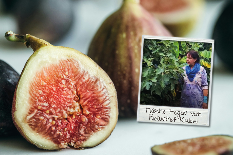 KI generiert: Frische Feigen in Nahaufnahme und ein Foto einer Person vor Pflanzen. Text: "Frische Feigen vom Biolandhof Kudow".
