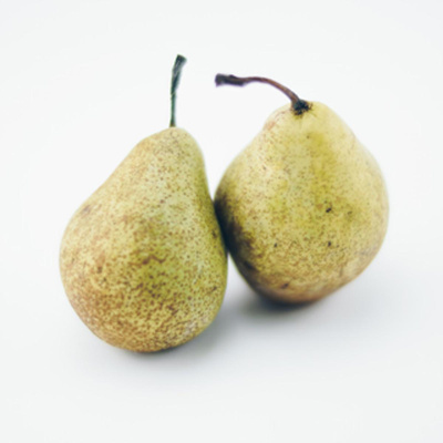 Produktfoto zu Birnen 'Xenia'