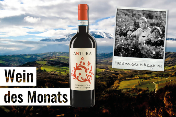KI generiert: Flasche Antura Nero d'Avola vor Landschaft, Text: "Wein des Monats", "Familienweingut: Maggio Vini".