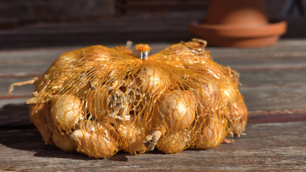 Steckzwiebeln können noch bis Ende April in die Erde!