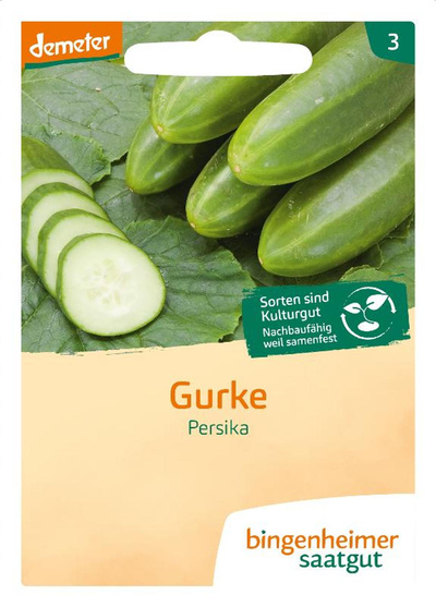 Produktfoto zu Saatgut Freilandgurke Persika