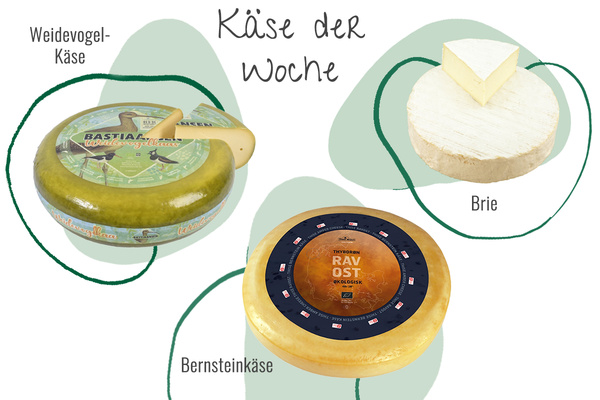 Drei Käsesorten aus der Abokiste in einem Bild