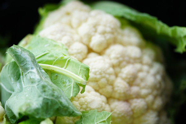 Nahaufnahme eines Blumenkohl-Kopfs