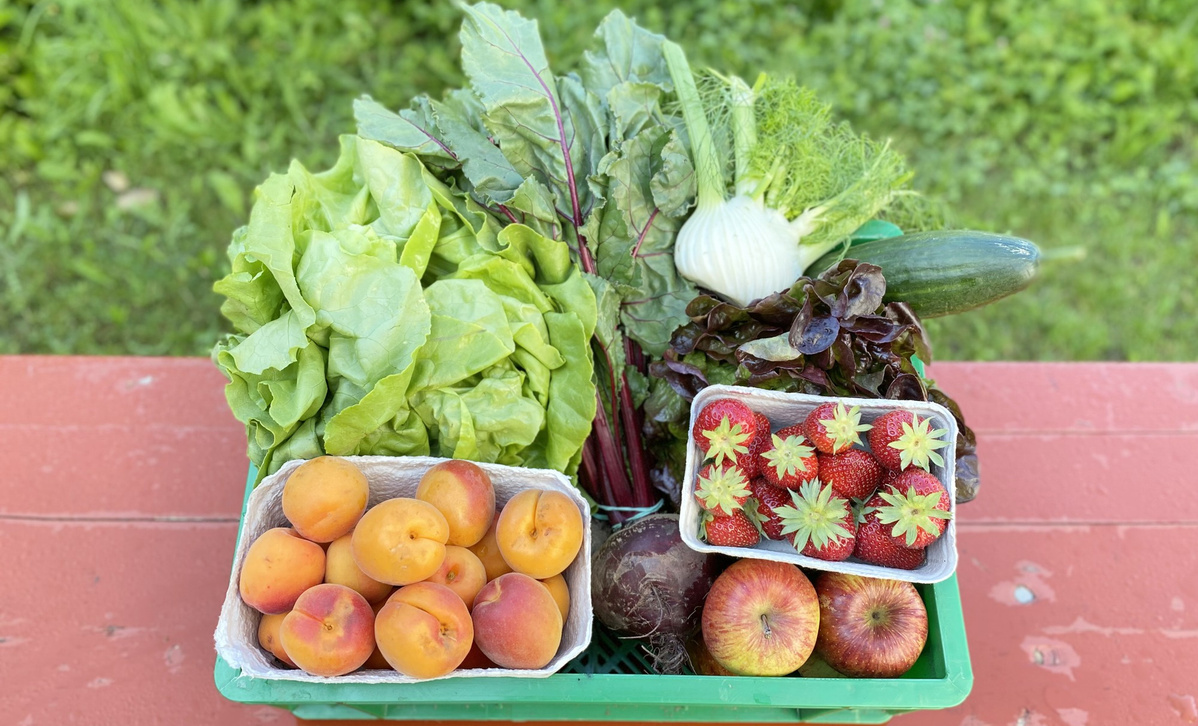 KI generiert: Ein Korb voller frischen Obst und Gemüse auf einem Tisch.
