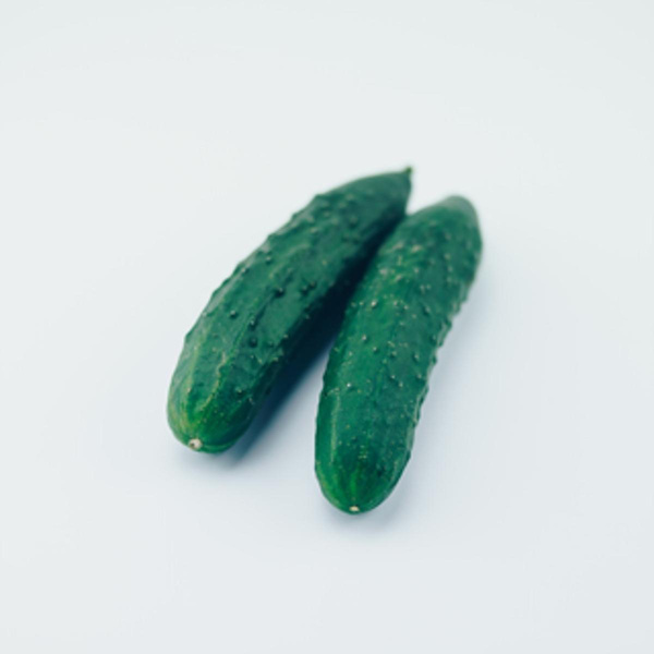 Produktfoto zu Landgurken
