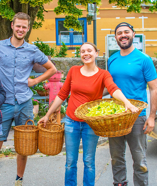 Grünland Bio Lieferant Michaelshof Sammatz Team mit Körben