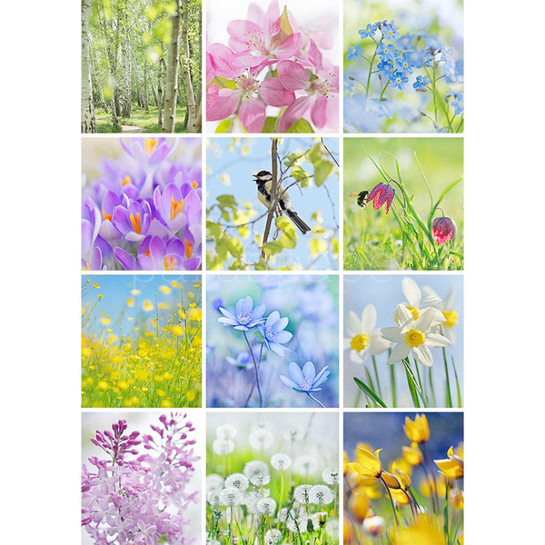 Produktfoto zu Postkarte Frühjahr