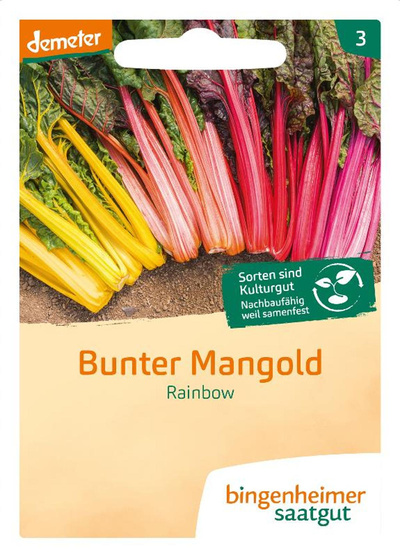 Produktfoto zu Saatgut Mangold Rainbow, bunter Mangold