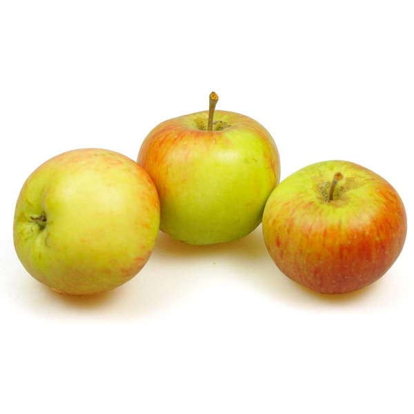 Produktfoto zu Äpfel 'Collina'