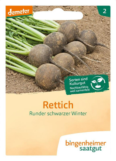 Produktfoto zu Saatgut Rettich, Runder Schwarzer Winter