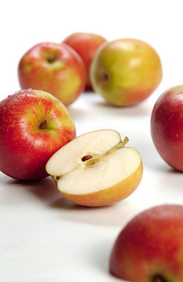 Produktfoto zu Apfel ' Holsteiner Cox